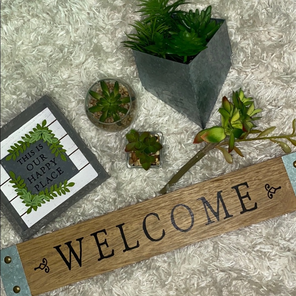 Succulent Home Decor
